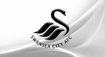 Swansea-FC Signs Erwin Mulder as Their Goalkeeper After Release