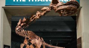 Most Largest Dinosaur Found Gets a Suitable Epic Name