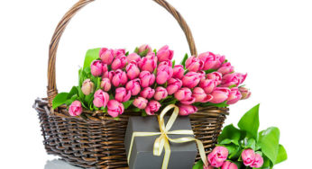 Flowers Are the Perfect Way to Say Congratulations