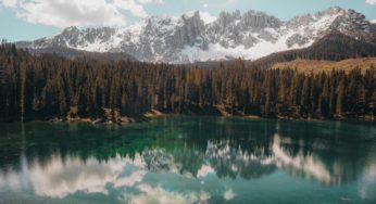 Saving Mother Earth: 5 Things You Can Do to Contribute to a Greener Environment