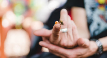 Knowing The Top Benefits of Raw Honey