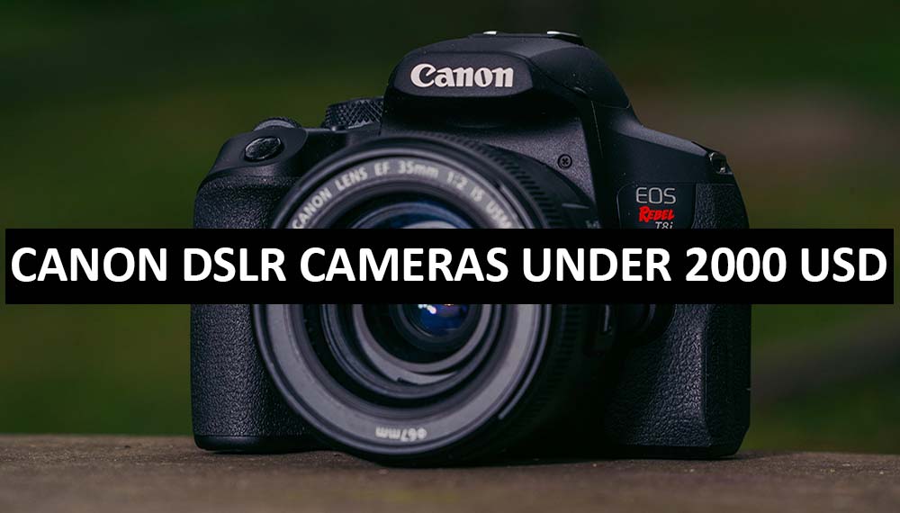 Best Canon DSLR Cameras Under $2000 in USA (2022)