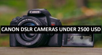 Best Canon DSLR Cameras Under $2500 in USA (2022)