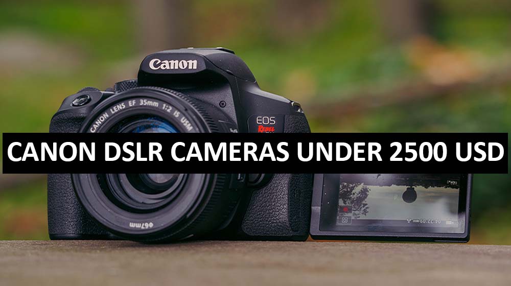 Best Canon DSLR Cameras Under $2500 in USA (2022)
