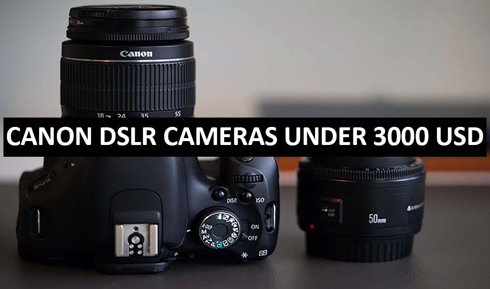 Best Canon DSLR Cameras Under $3000 in USA (2022)
