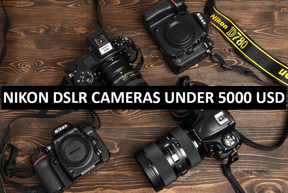 Best Nikon DSLR Cameras Under $5000 in USA (2022)