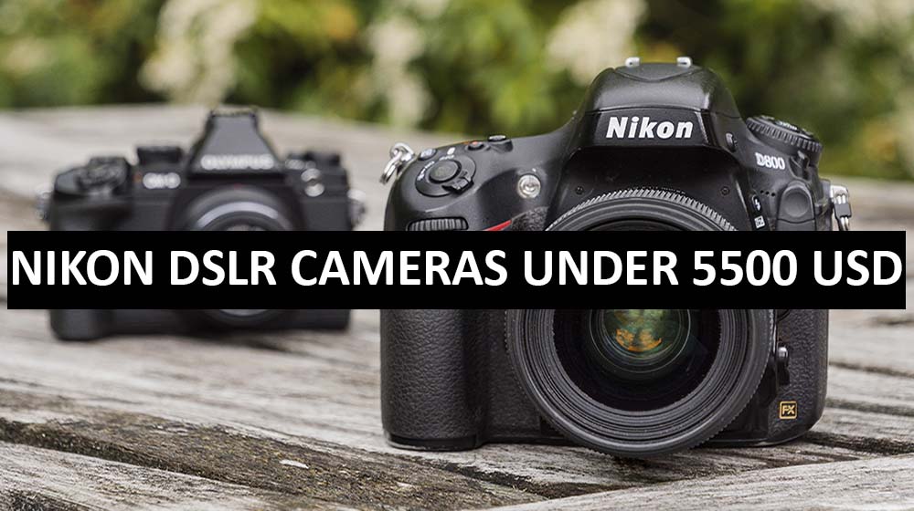 Best Nikon DSLR Cameras Under $5500 in USA (2022)