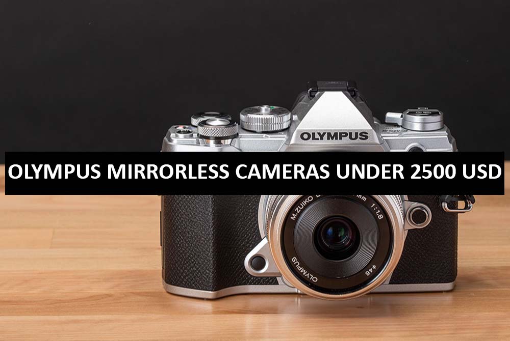 Best Olympus Mirrorless Cameras Under $2500 in USA (2022)