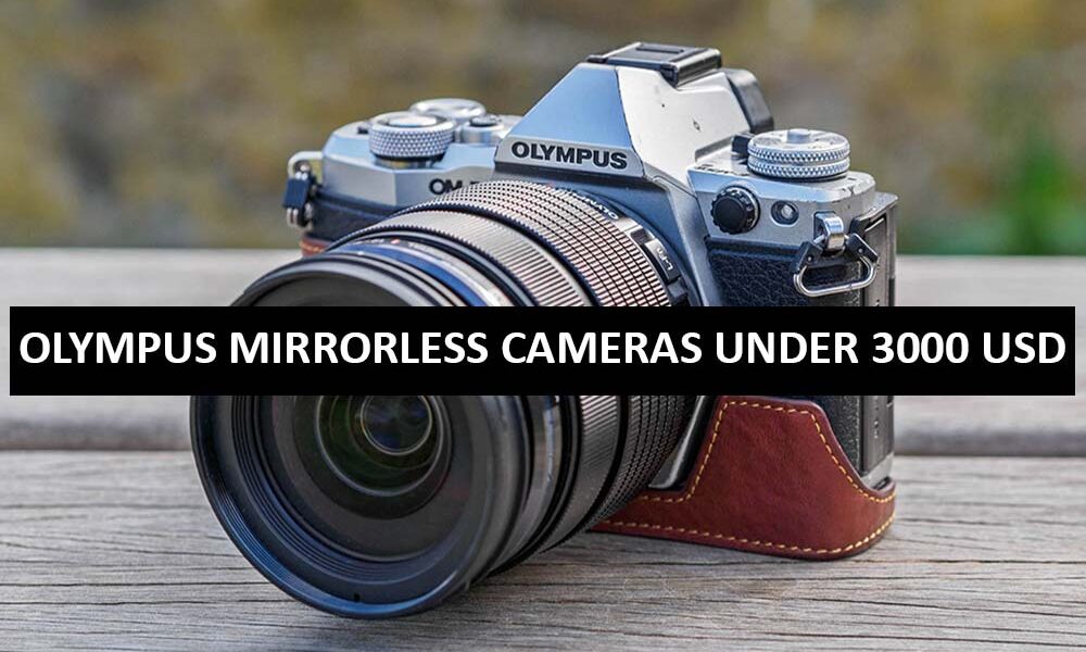 Olympus Mirrorless Cameras Under 3000 Dollars in USA Olympus