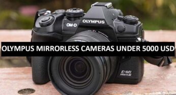 Best Olympus Mirrorless Cameras Under $5000 in USA (2022)