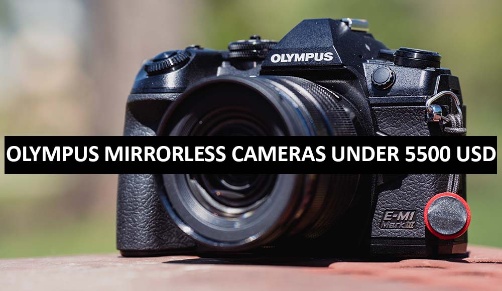 Best Olympus Mirrorless Cameras Under $5500 in USA (2022)