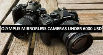 Best Olympus Mirrorless Cameras Under $6000 in USA (2022)