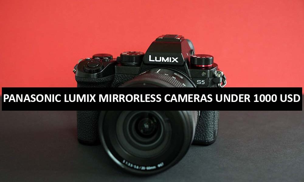 Panasonic Lumix Mirrorless Cameras Under 1000 Dollars in USA