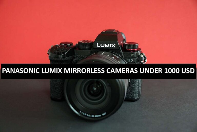 Panasonic Lumix Mirrorless Cameras Under 1000 Dollars in USA