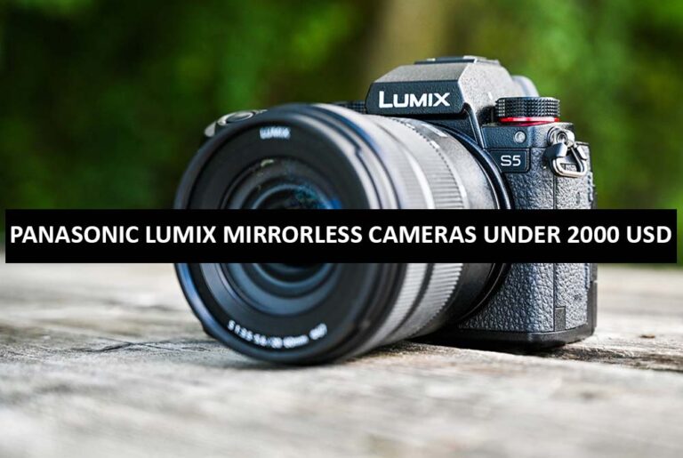 Panasonic Lumix Mirrorless Cameras Under 2000 Dollars in USA