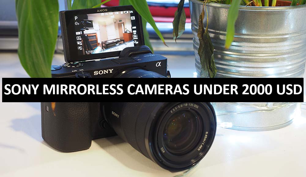 Best Sony Mirrorless Cameras Under $2000 in USA (2022)