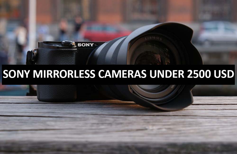 Best Sony Mirrorless Cameras Under $2500 in USA (2022)