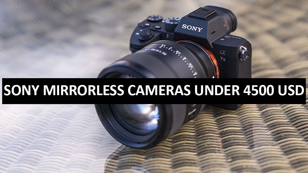 Best Sony Mirrorless Cameras Under $4500 in USA (2022)