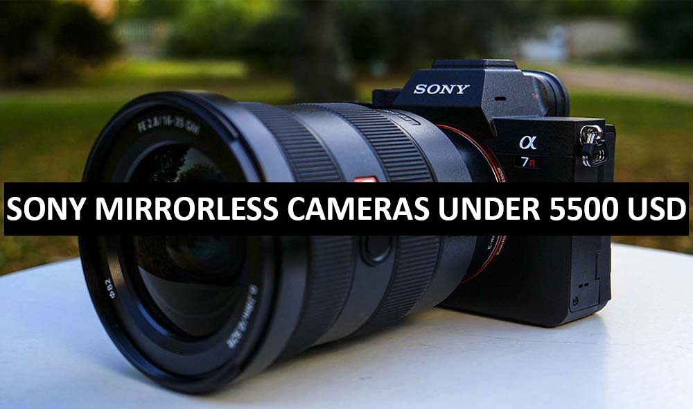 Best Sony Mirrorless Cameras Under $5500 in USA (2022)