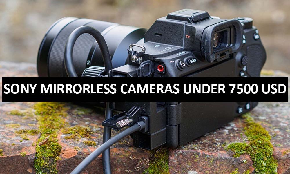 Sony Mirrorless Cameras Under 7500 Dollars in USA Sony Mirrorless