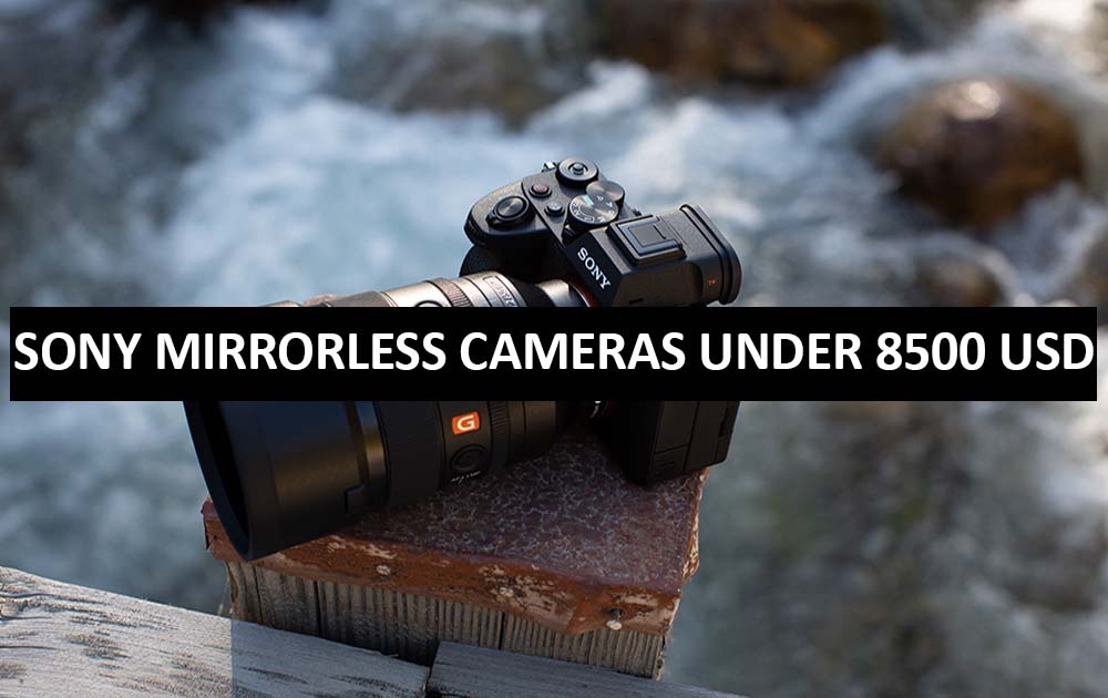 Best Sony Mirrorless Cameras Under $8500 in USA (2022)