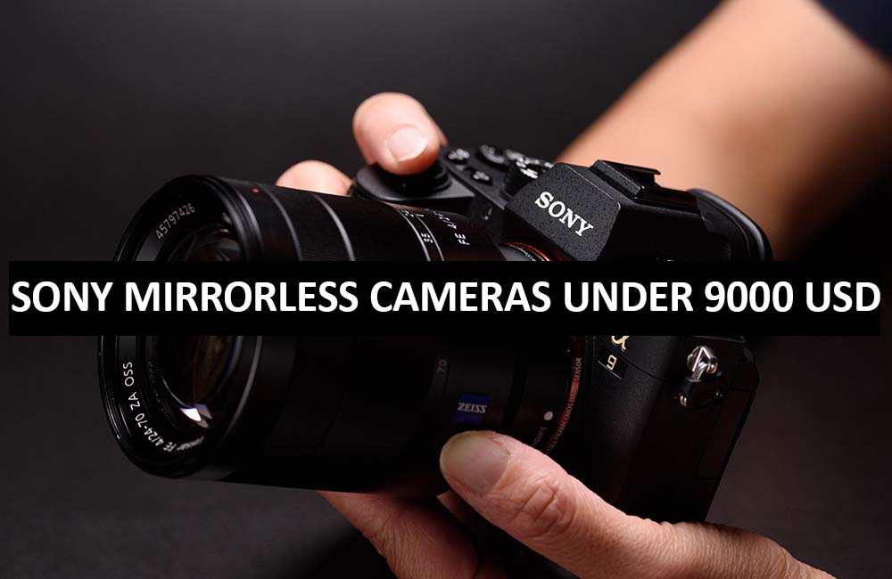 Best Sony Mirrorless Cameras Under $9000 in USA (2022)