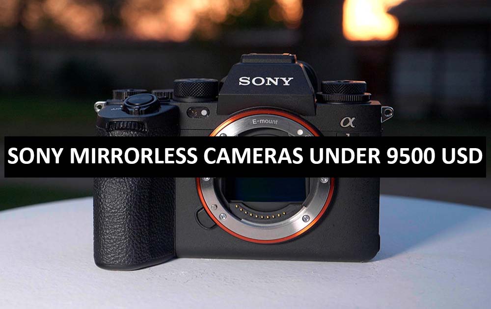 Best Sony Mirrorless Cameras Under $9500 in USA (2022)