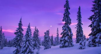 Why Visit Scottsdale in The Winter?
