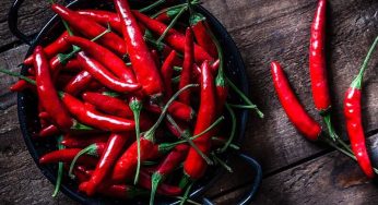 You Need to Know About the Benefits and Side Effects of Red Chilli