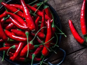 You Need to Know About the Benefits and Side Effects of Red Chilli